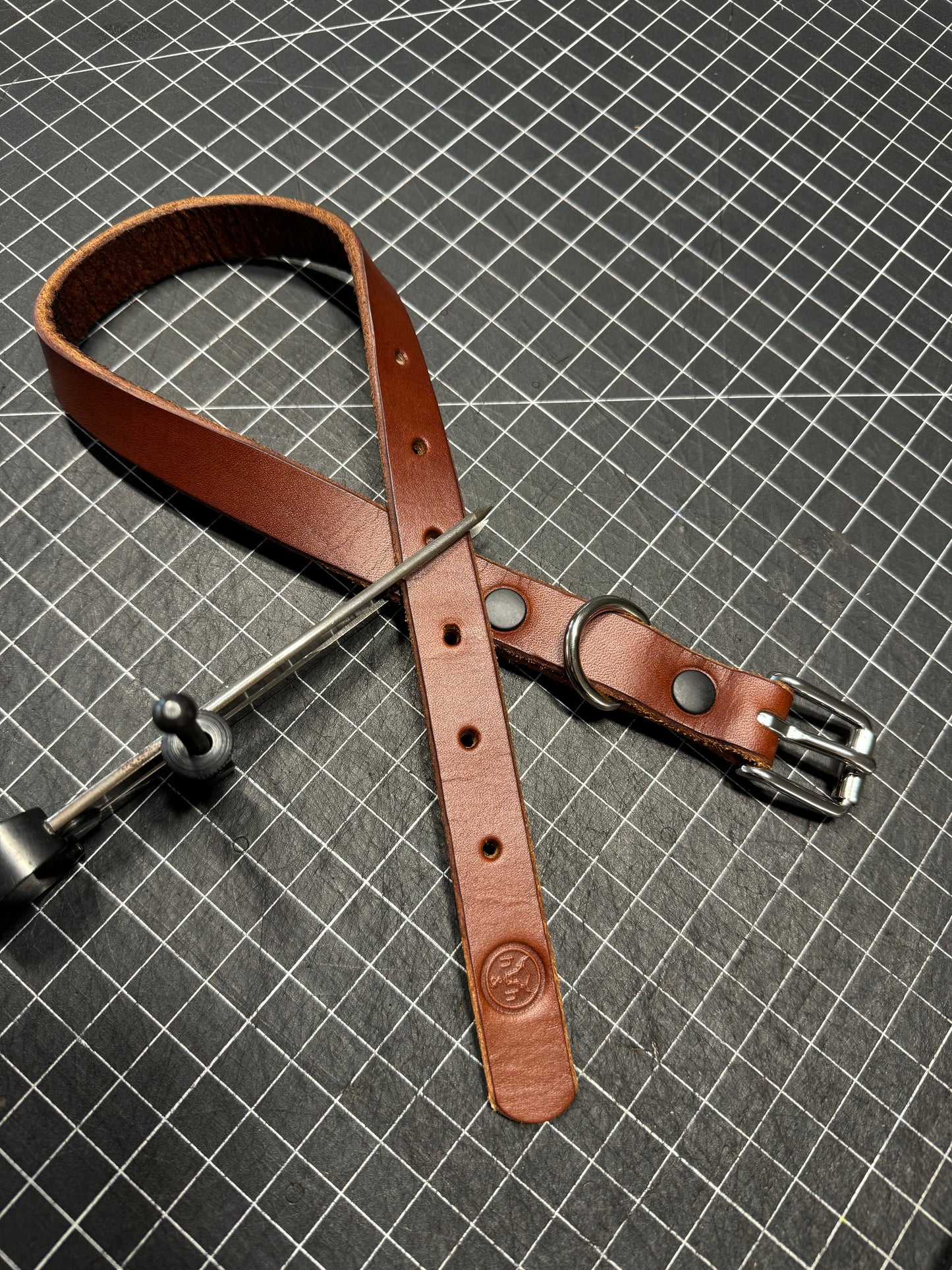 Dog collars